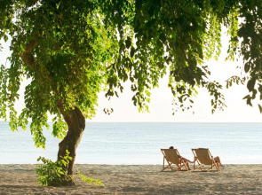 The Ravenala Attitude