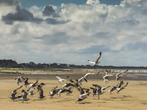 Le Grand Hotel de Cabourg - MGallery Collection
