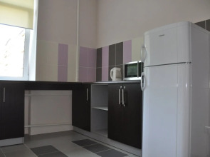 Экос Отель на Коломийском