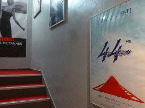 Des Congrès et Festivals