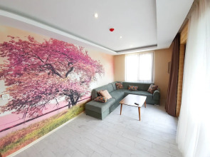 Uzungol Yesil Kosk Hotel