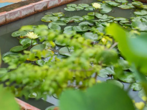 Baan Are Gong Riverside Homestay