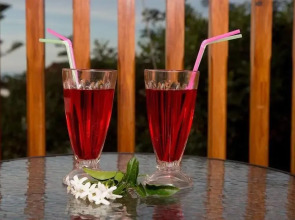 Ceratonia Apartments