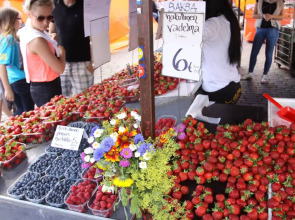 Holiday Inn Helsinki West- Ruoholahti by IHG