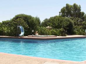 Irene Palace Beach Resort