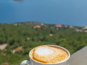 Golden Rose Suit Pension