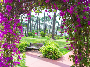 Aluasun Marbella Park Hotel