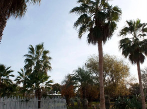 Sevenmaze Charming House