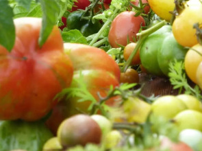 Château de la Bourdaisière