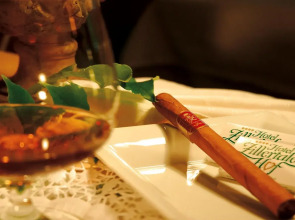 ZILLERTALERHOF - Alpine Hideway