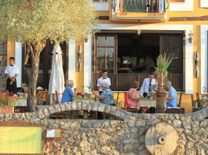 The Olive Tree Studios - Adults Only