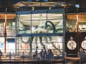 The Davis Bangkok Hotel