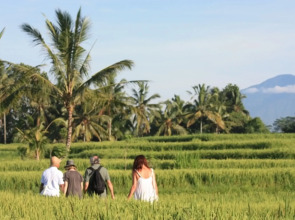 Курортный отель Wapa di Ume Ubud Resort & Spa