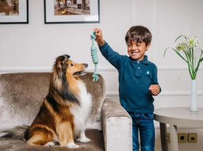 Excelsior Hotel Ernst am Dom