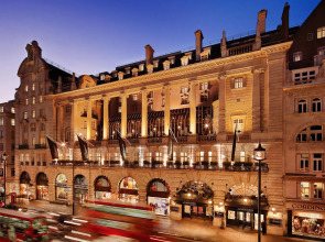 Отель The Dilly