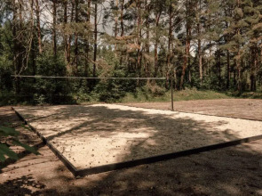 Вили Улей Ока