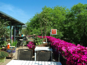 Peking International Youth Hostel