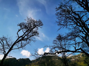 Отель Vanatun Monastery Stay