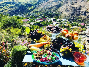 Родное гнездо