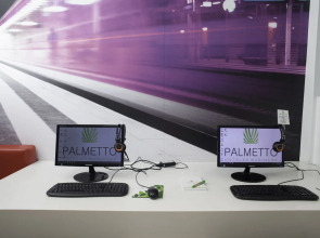 Palmetto Hotel Business San Miguel