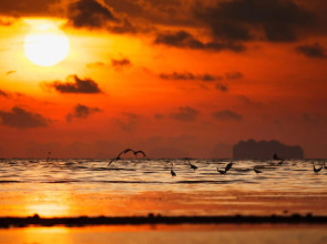 Отель ibis Styles Phuket City Hotel