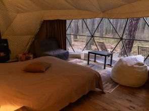 Вили Улей Ока