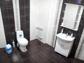 Отель «Мега»