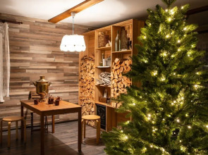 Снежные Гуси Новоснежная