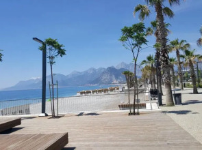 Mango Suite Apartment