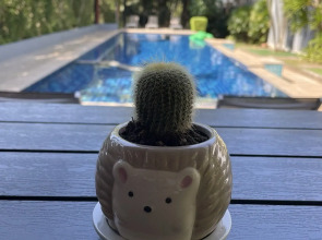 The Fong Krabi Resort