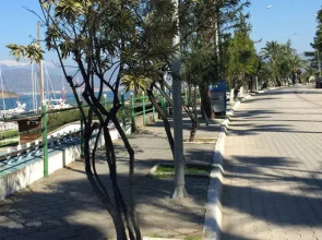 Villa Daffodil - Special Class