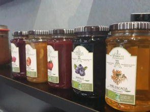 Hôtel des Savoies Lyon Perrache