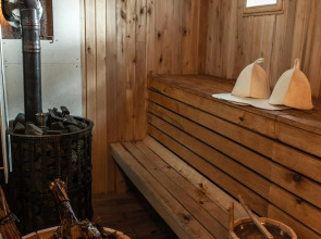 Вили Улей Ока