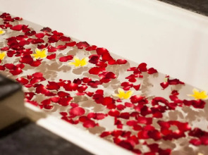 Swiss-Belhotel Rainforest