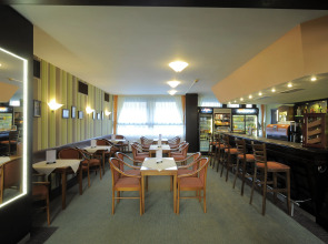 Congress & Wellness Hotel Olsanka