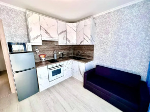 Апартаменты на улице Адмирала Пустошкина 14