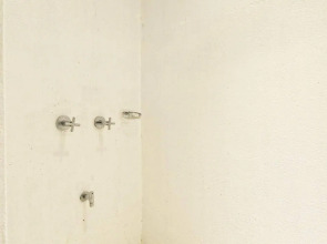 The Lazy Dog Bed & Breakfast