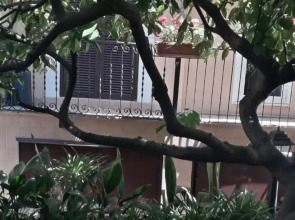 Gioia Bed and Breakfast