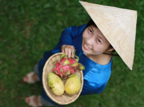 Waterside Resort & Spa