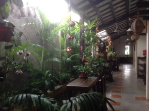 Palm Mansion Boutique Suites