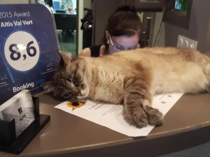 Hôtel Altis Val Vert