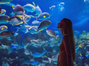 Le Suffren Hotel & Marina