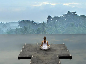 Jungle Retreat by Kupu Kupu Barong