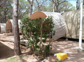 Camping 3 Estrellas