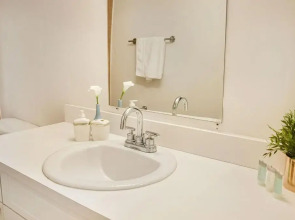 Coral Reef at Key Biscayne