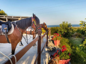 Agriturismo Val di Noto