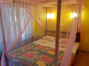 Malika's Yellow House