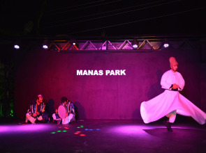 Manaspark Deluxe Hotel