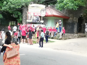 Hotel Elephant Lobby