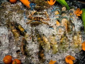 Sunset Village Beach Resort